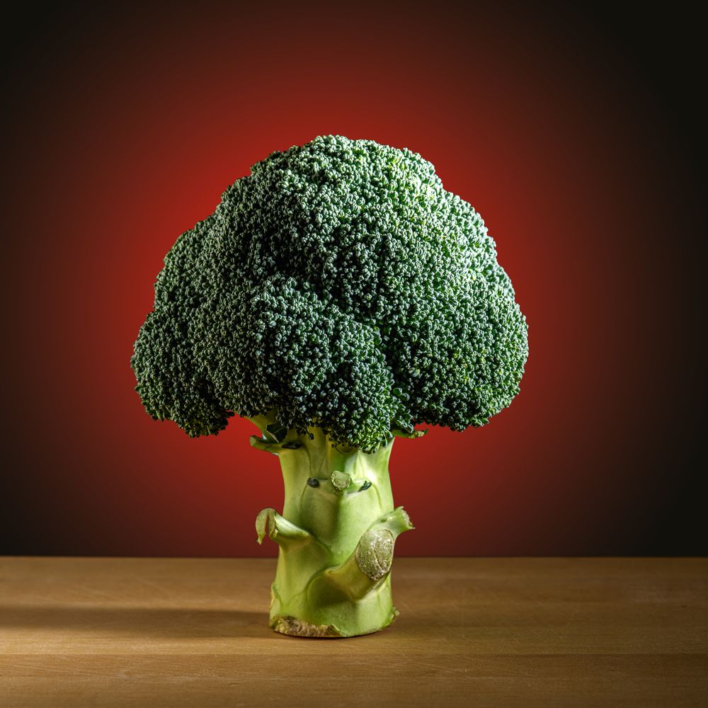 Photograph by Aleksandr Belov