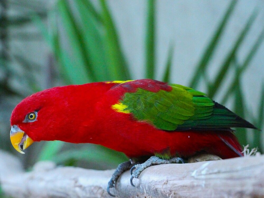 Photograph by Людмила Бутова