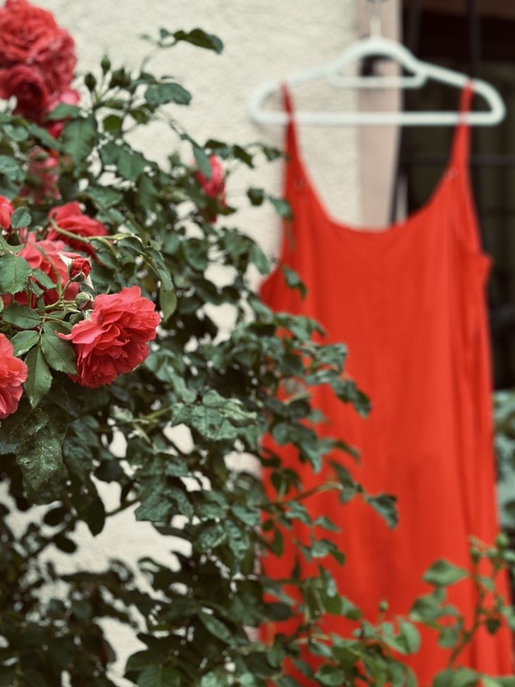 Фотография автора Swetlana Brenitsch