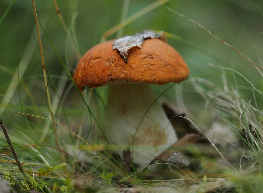 Photograph by Евгений Яковлев