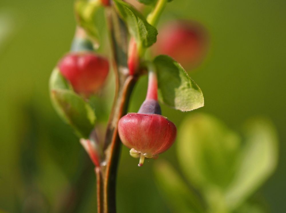 Photograph by Евгений Яковлев