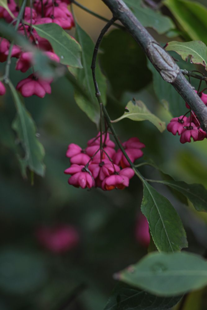 Фотография автора Георгий Машкин