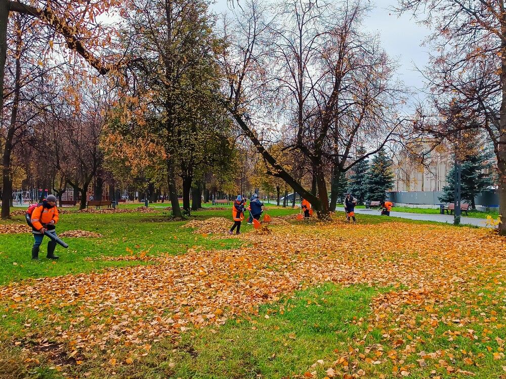 Фотография автора Александр Порохов