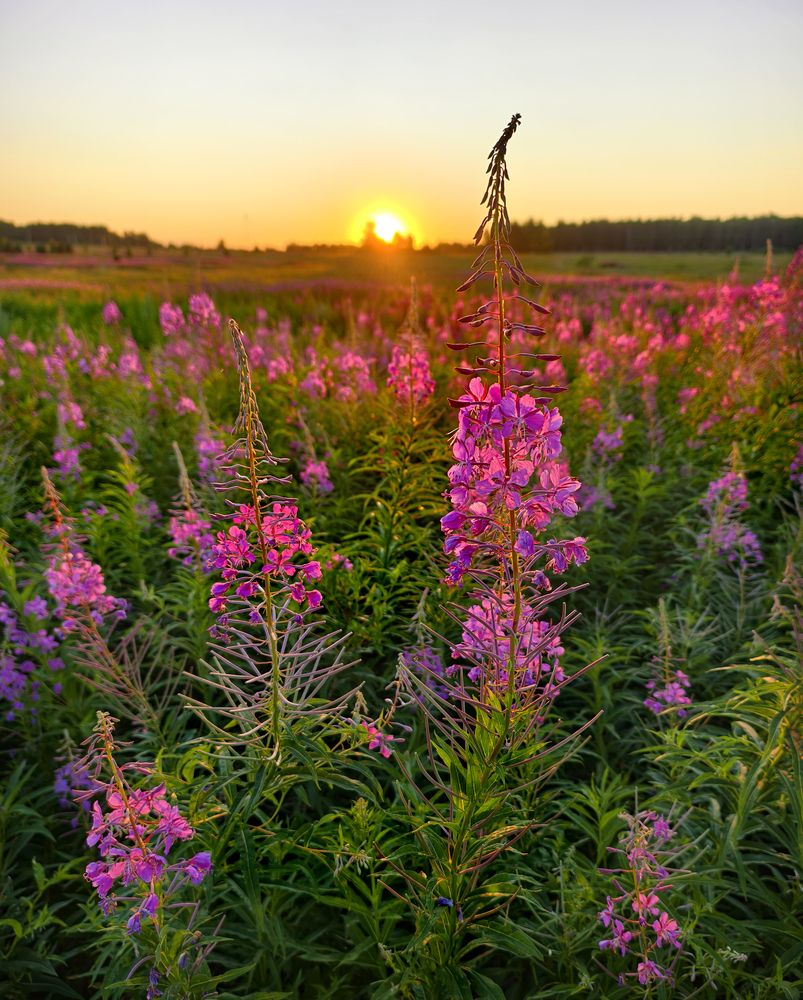 Фотография автора Кухта Мария
