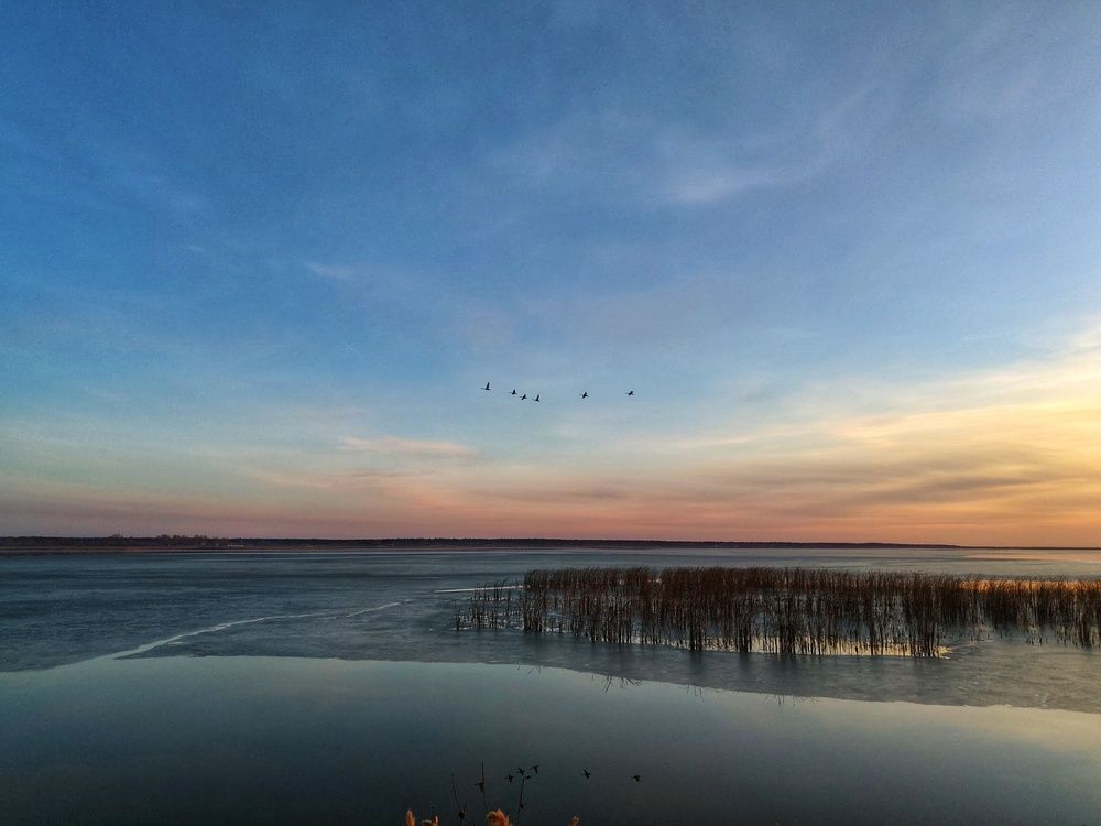 Photograph by Ксения Орлова