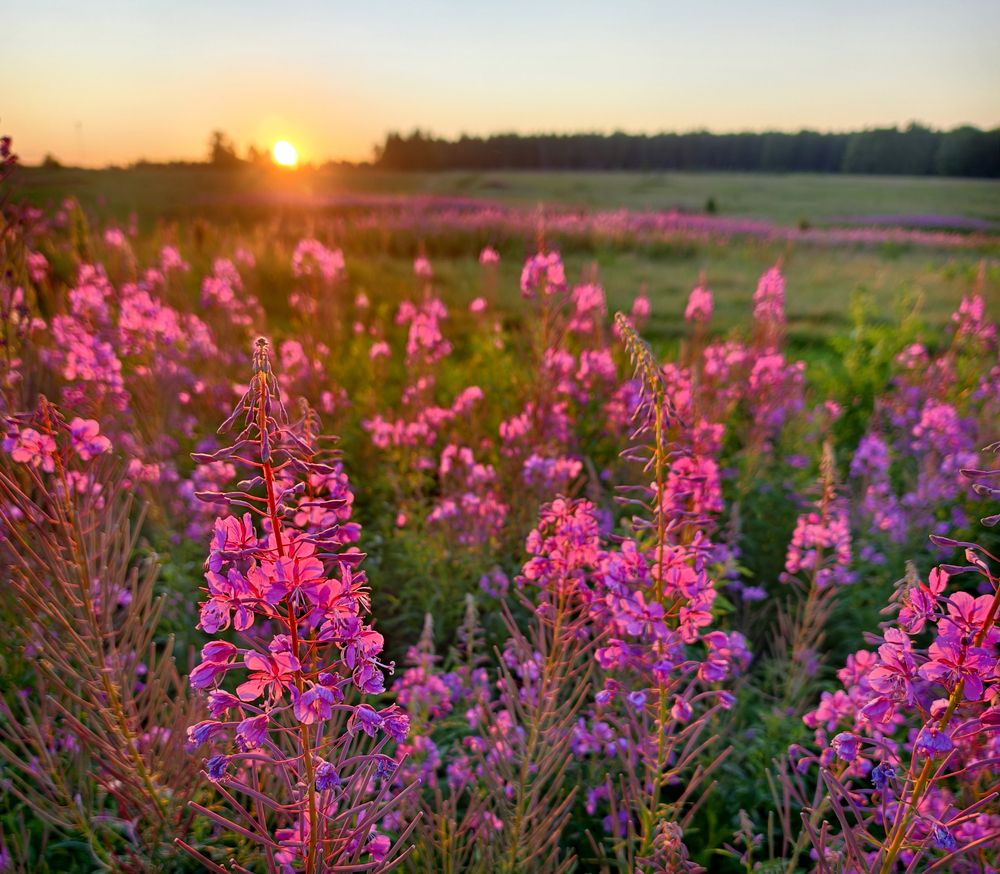 Фотография автора Кухта Мария