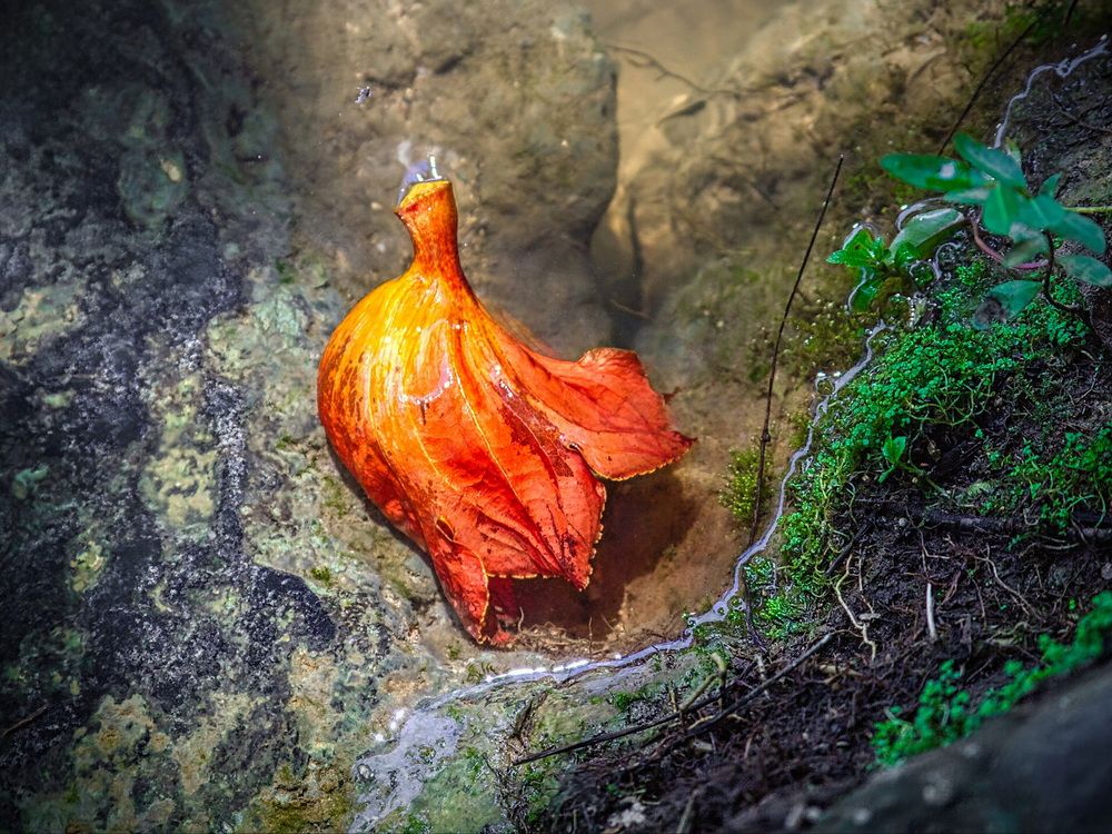 Photograph by Андрей Хитров