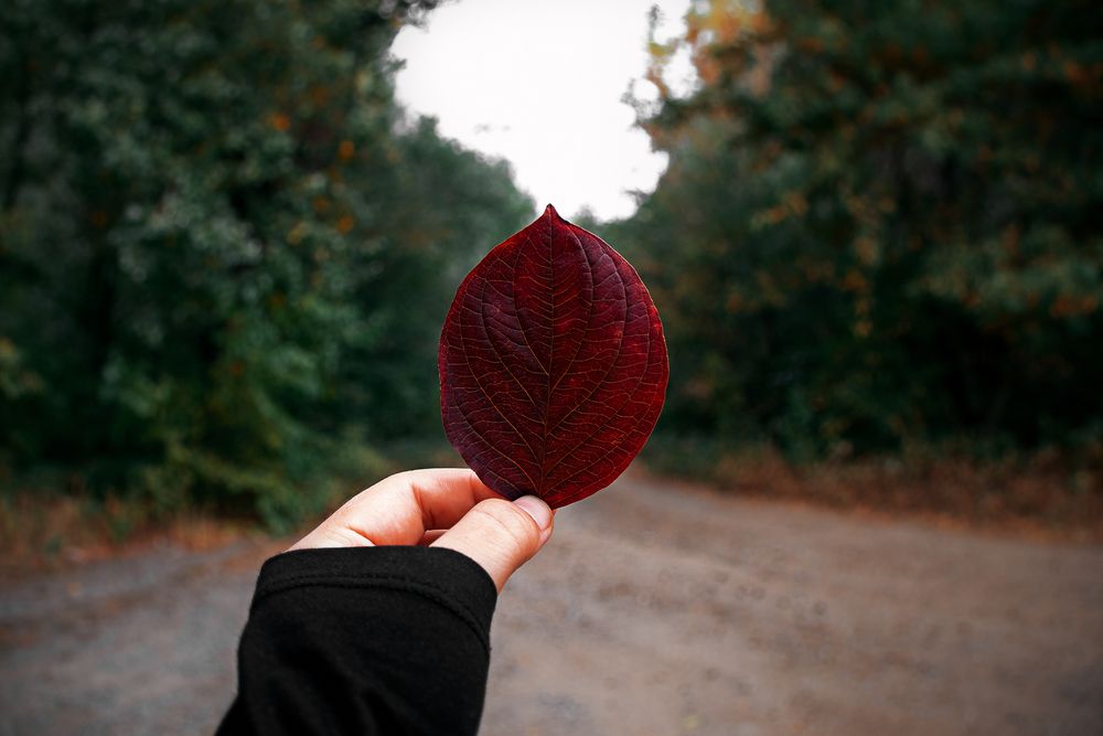 Photograph by Сергей Удовиченко