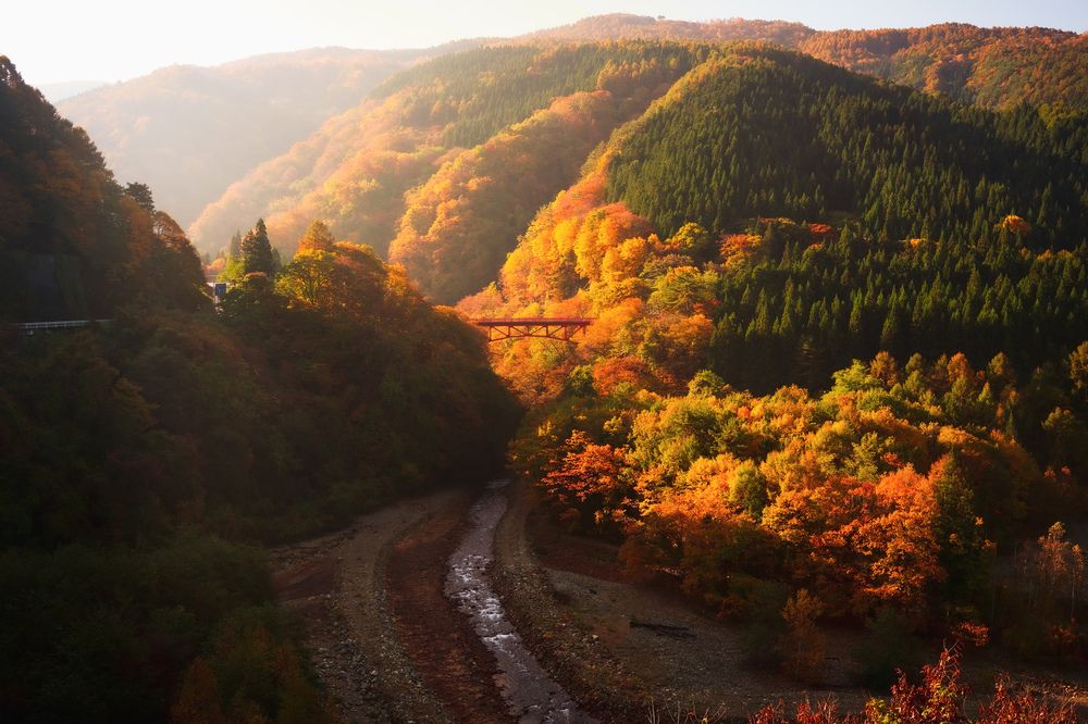 Photograph by TamaU TamaU