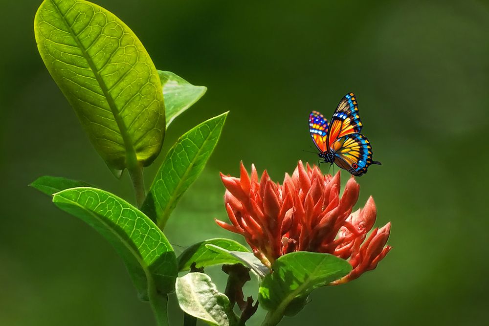 Photograph by Vy Van Bui