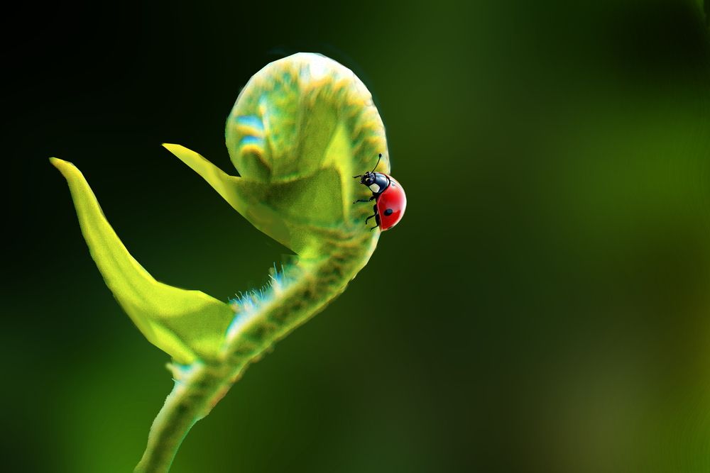 Photograph by Vy Van Bui