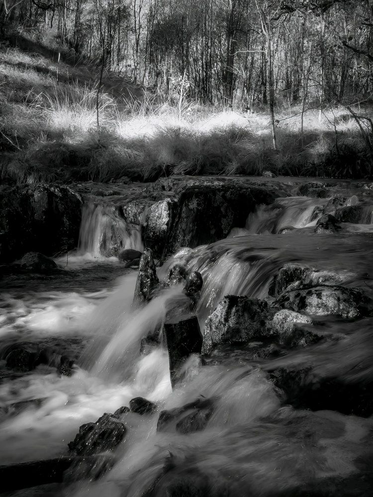 Photograph by Michael Gault