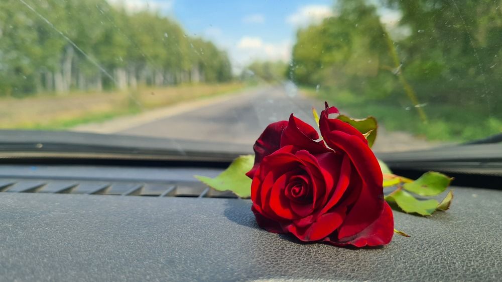 Photograph by Анастасия Маклакова