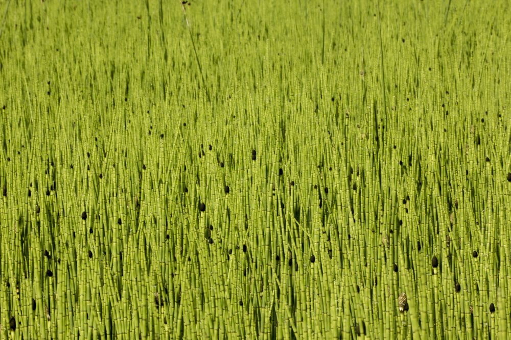 Фотография автора Александр Собокарь