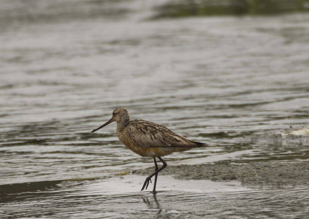 Фотография автора Александр Собокарь