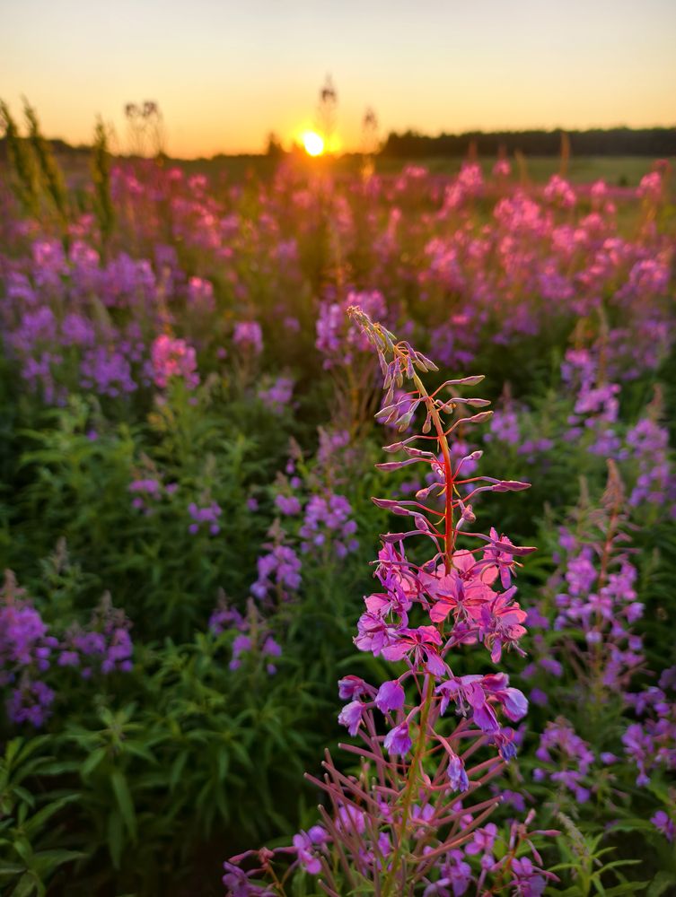 Фотография автора Кухта Мария
