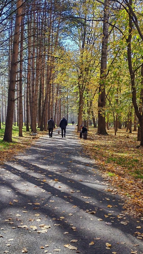 Фотография автора Наталья Шендяпина