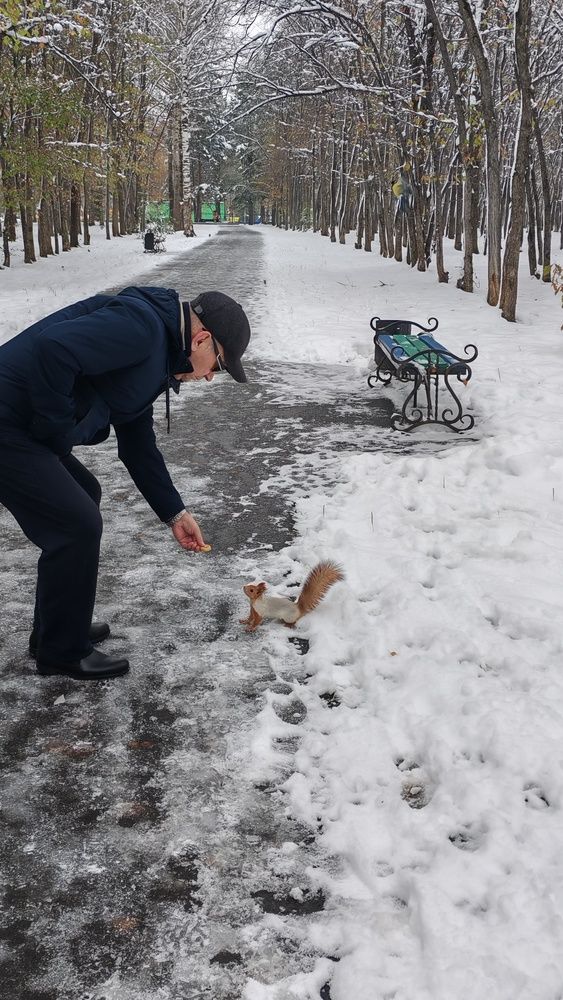 Фотография автора Наталья Шендяпина