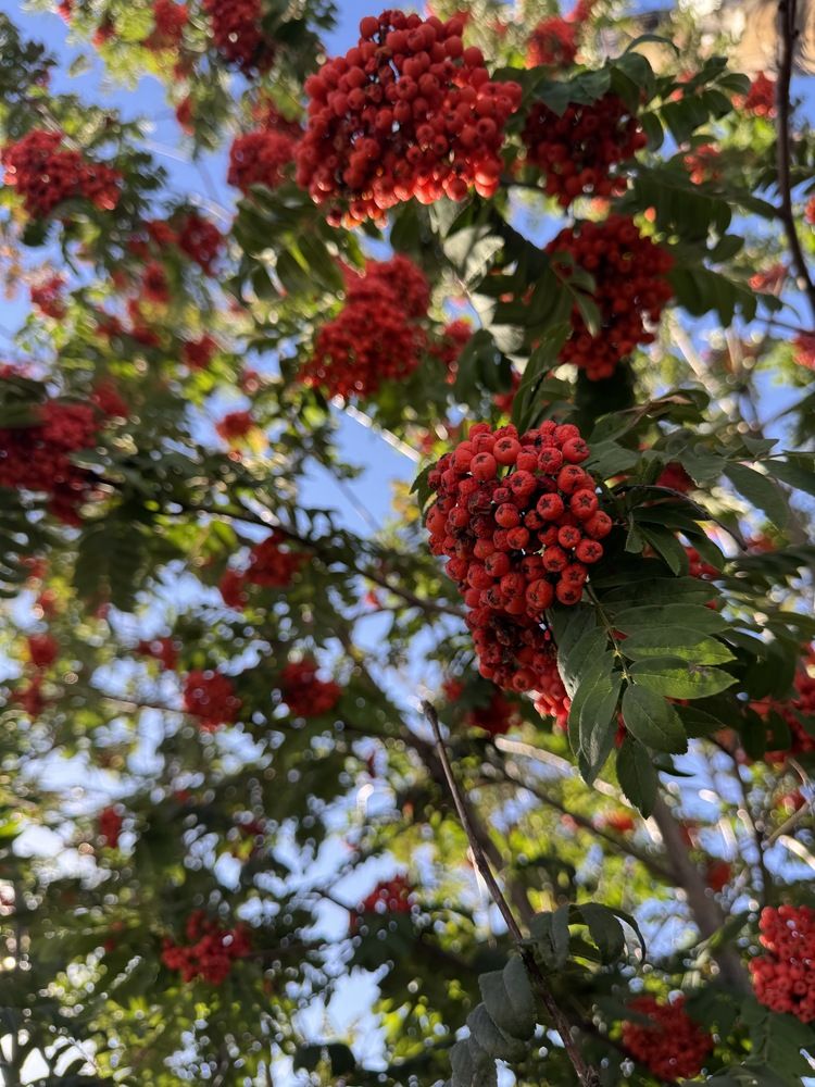 Photograph by Анастасия Самойленко