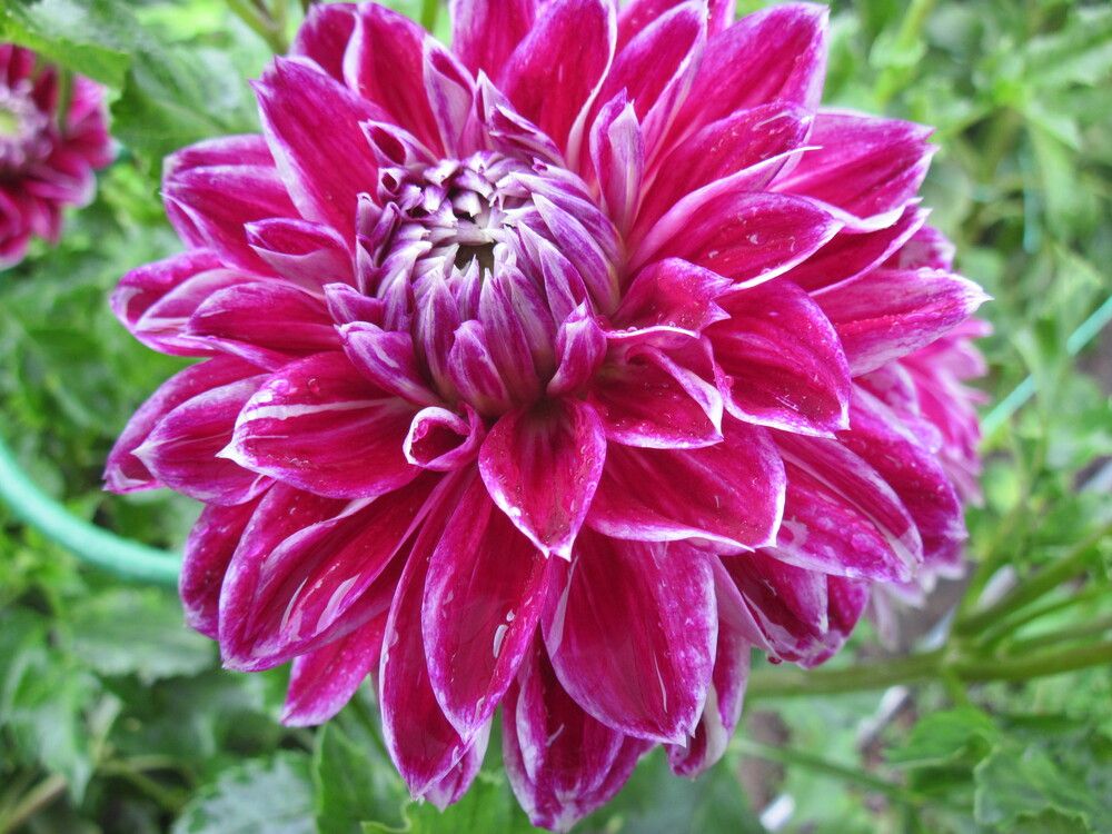 Фотография автора Георгий Самусевич