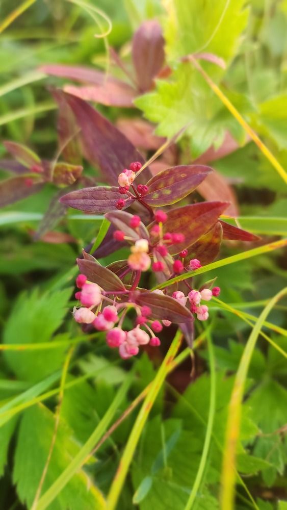 Photograph by Tatiana Denisova