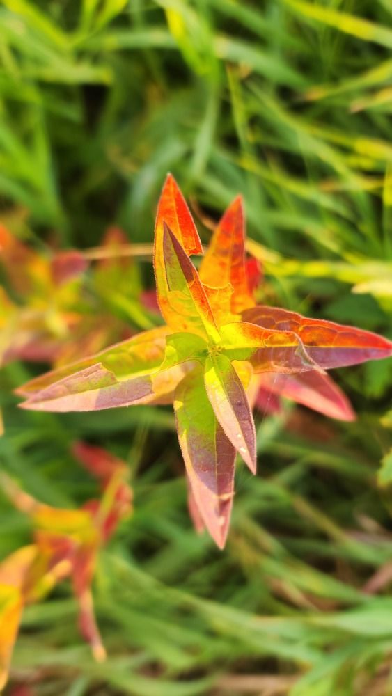 Photograph by Tatiana Denisova