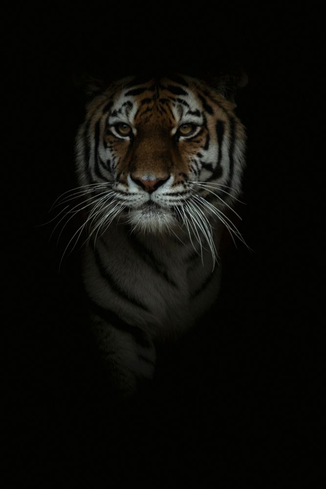 Photograph by Александр Чазов