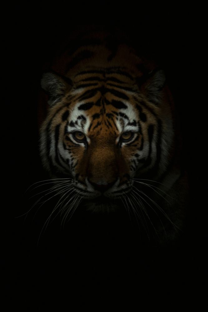 Photograph by Александр Чазов