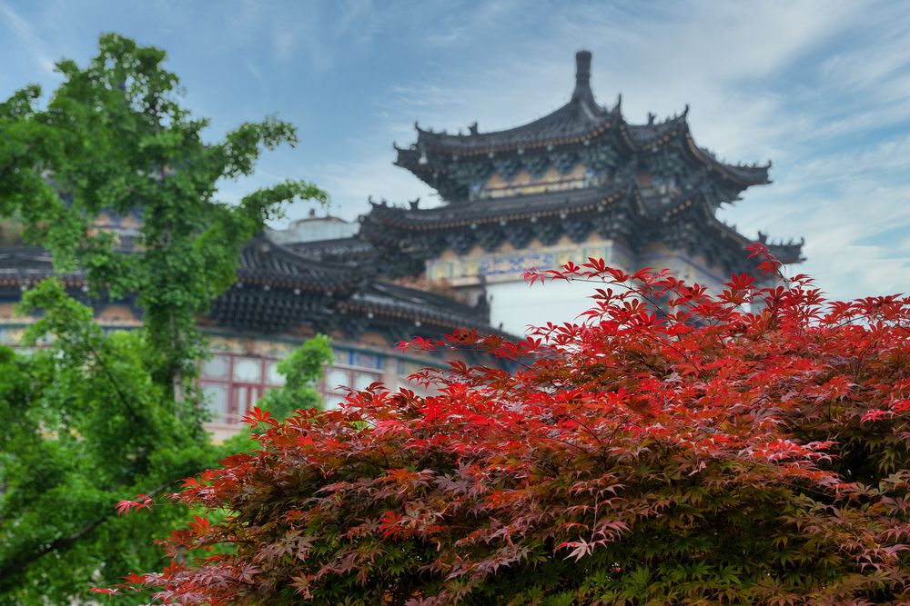 Photograph by Николай Владимирович