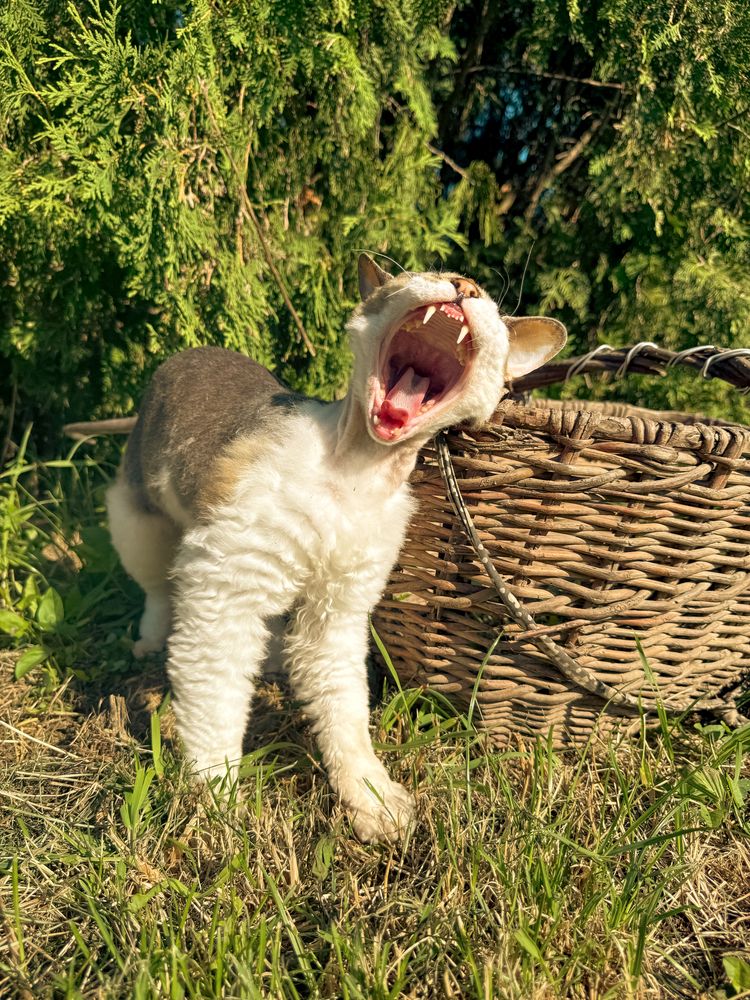 Photograph by Мария