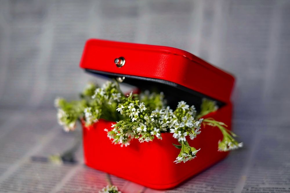 Photograph by Татьяна Бравая