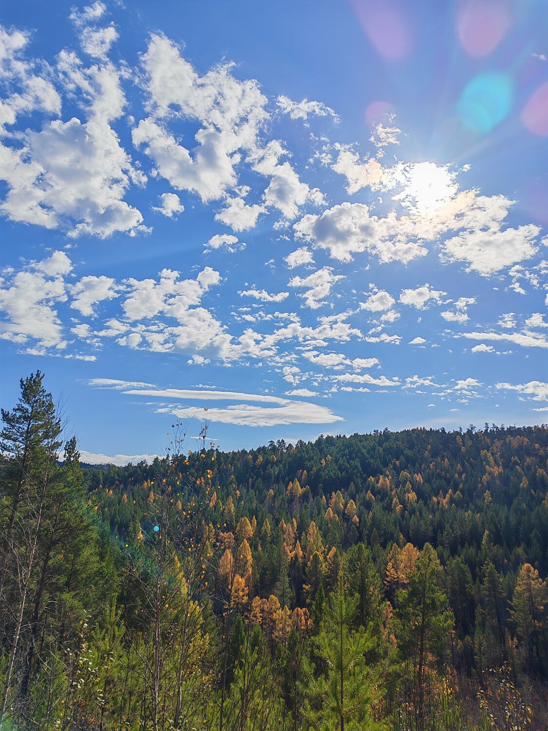 Photo #12765590