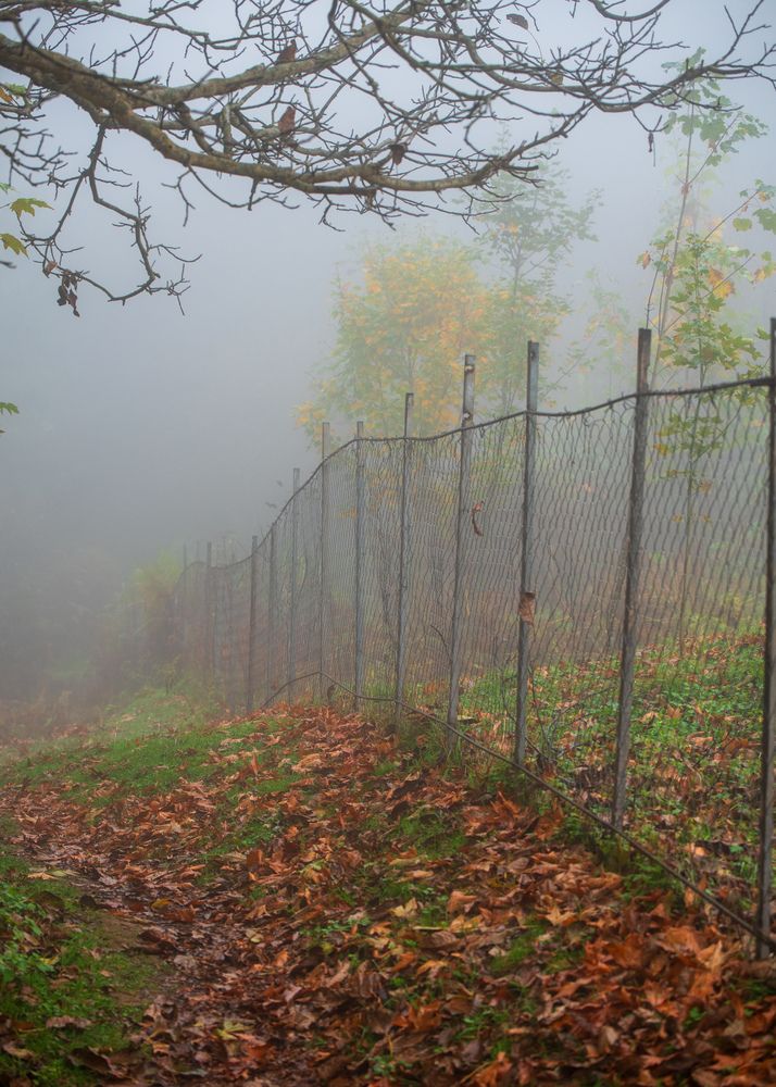 Photograph by Amir Naserkhani