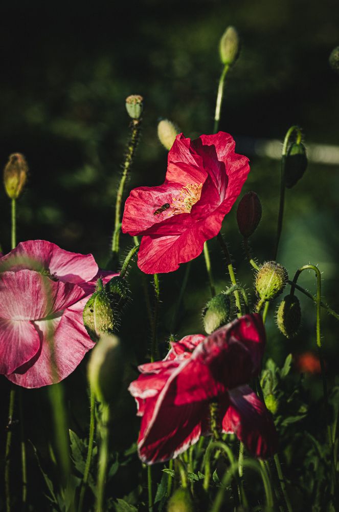 Photograph by Юлия Соболева