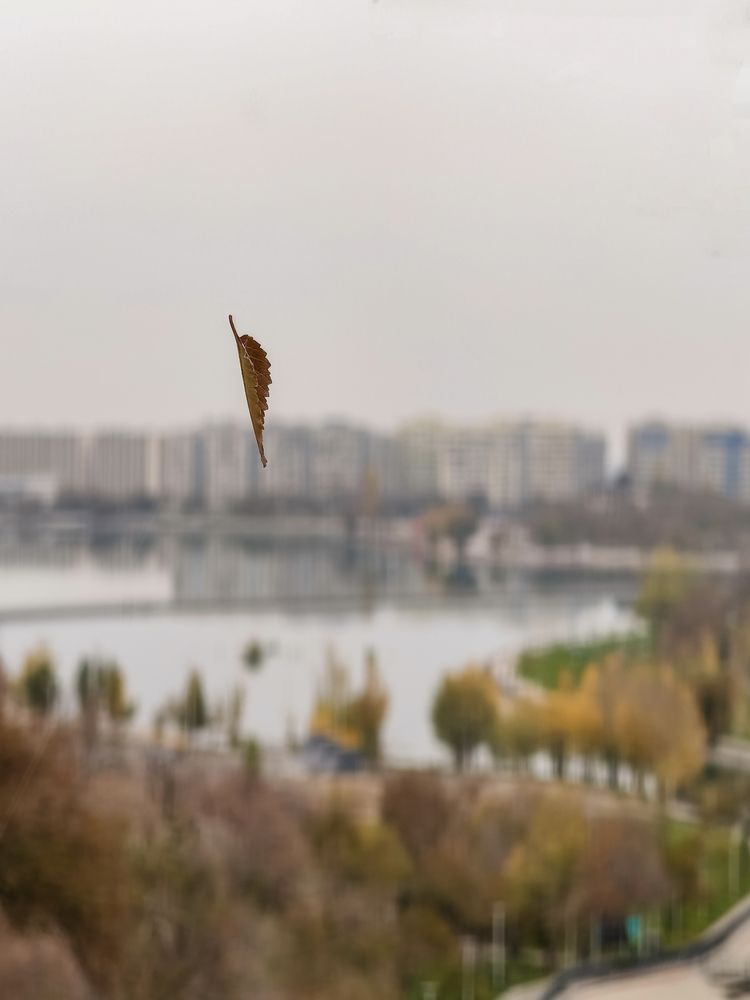 Photograph by Владимир Ли