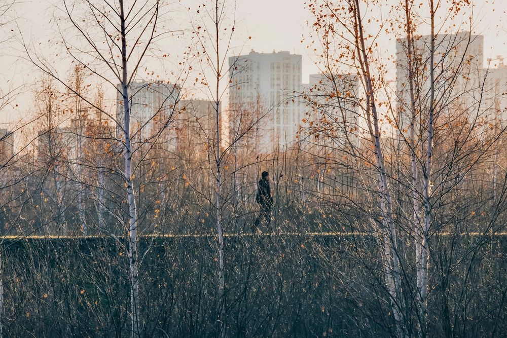 Photograph by Ирина Кожухова