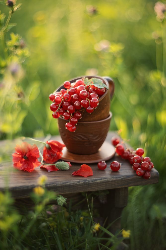 Photograph by Елена Косинова