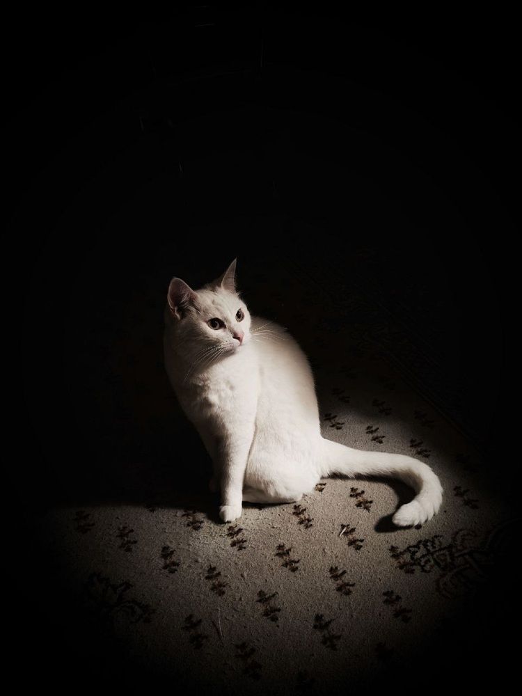 Photograph by Наталья Фирсова