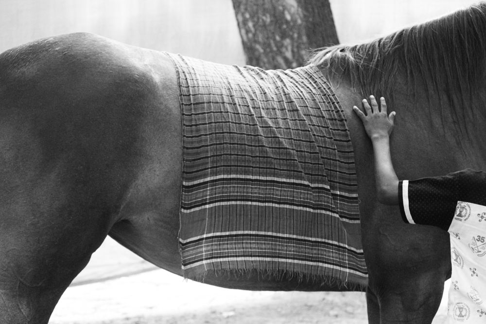 Фотография автора Abdullah AL