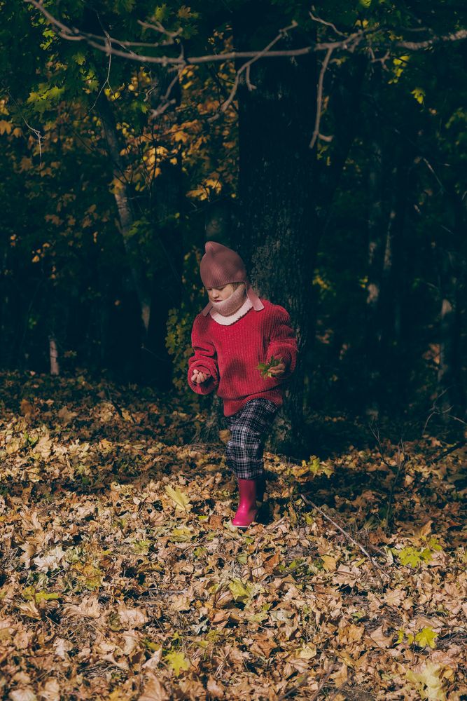 Фотография автора Александров Алексей