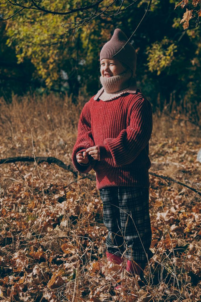 Фотография автора Александров Алексей