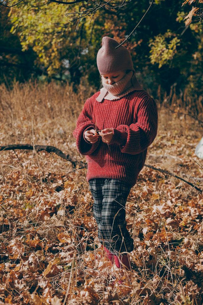 Фотография автора Александров Алексей