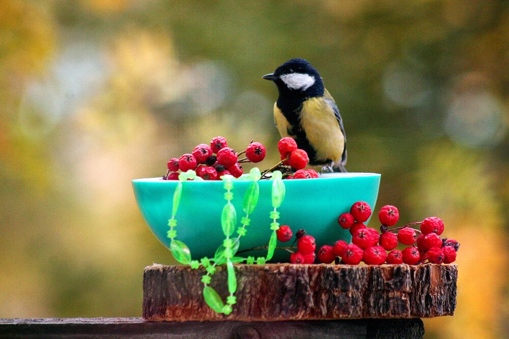 Photograph by Vitaliy Saposhnikov