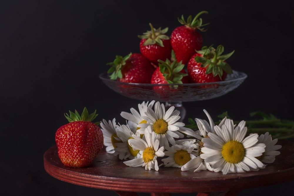 Photograph by Ольга Сергеенко