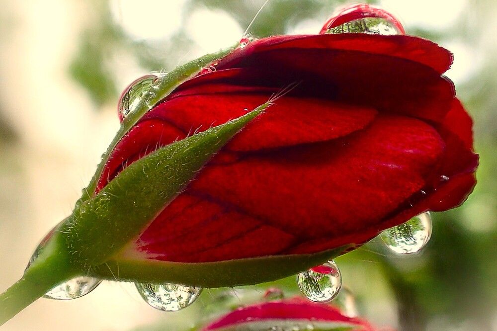 Photograph by Станислав Карташов