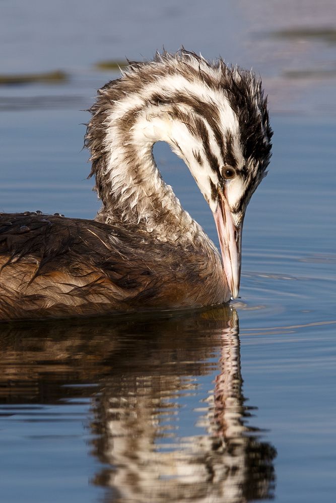 Фотография автора Леонид Никитин