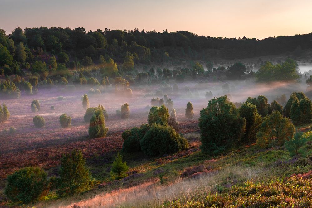 Photograph by Евгения Чех