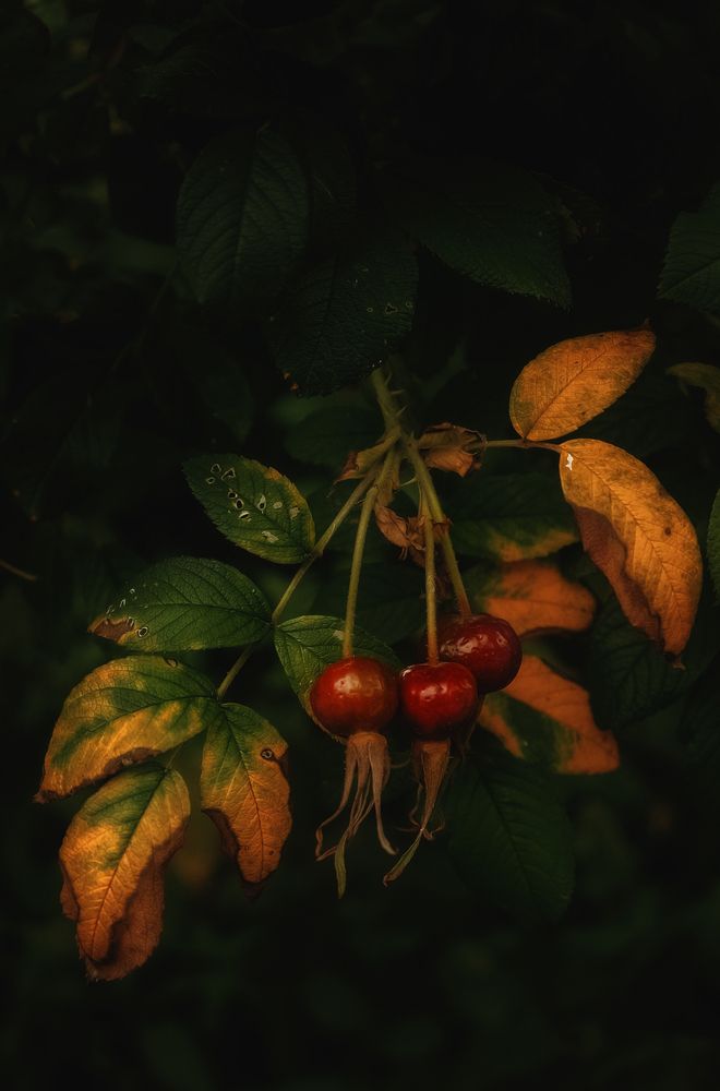 Photograph by Юлия Лушникова