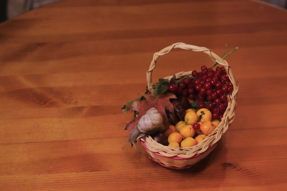 Photograph by Светлана Соколова