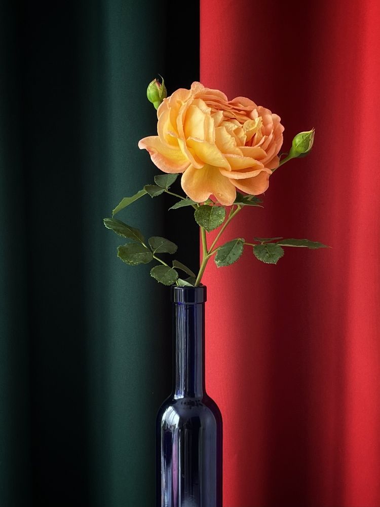 Фотография автора Рамзия Хисамутдинова